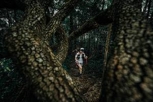 BIB: 
                            <button type="button" onclick="openModal(25681676)" class="btn btn-primary btn-sm float-right btn-popup" data-toggle="modal" data-target=".modal-high-quality">
                        <i class="fas fa-shopping-cart"></i> Add to Cart
                    </button>
                                            <button type="button" onclick="isThisMe(25681676, true)" class="btn btn-success btn-sm float-right btn-popup btn-isme hidden" data-toggle="tooltip" data-placement="bottom" title="นี่คือรูปของคุณใช่ไหม คลิกที่นี่เพื่อเอาเข้าอัลบั้ม">
                        <i class="fas fa-plus"></i> Add to album
                    </button>
                    <button type="button" onclick="isThisMe(25681676, false)" class="btn btn-warning btn-sm float-right btn-popup btn-isnotme hidden">
                        <i class="fas fa-ban"></i> Remove from album
                    </button>